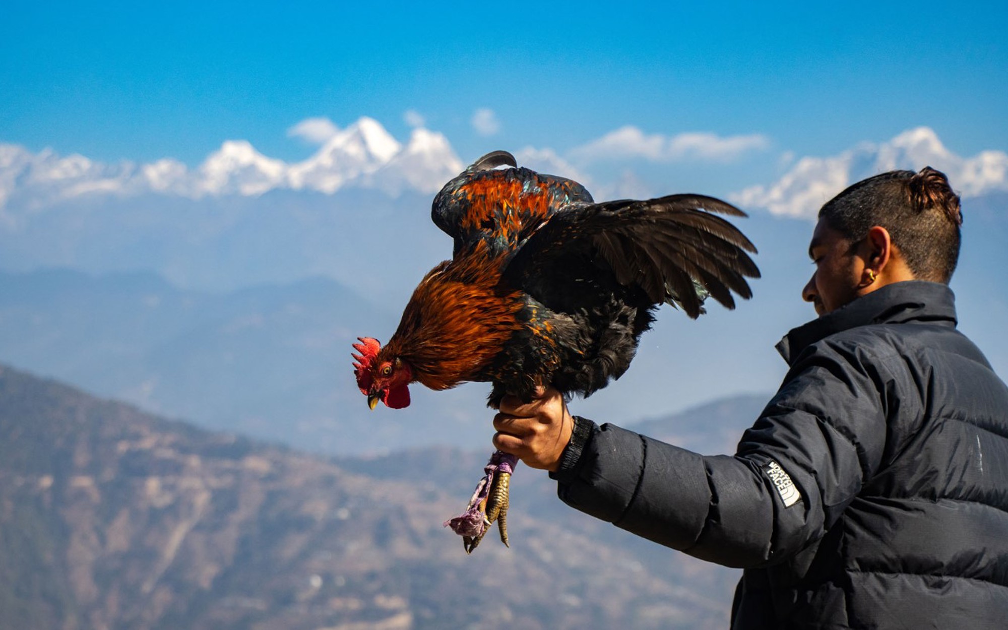 Local Kukhura Bhale Dinner with Mountain View