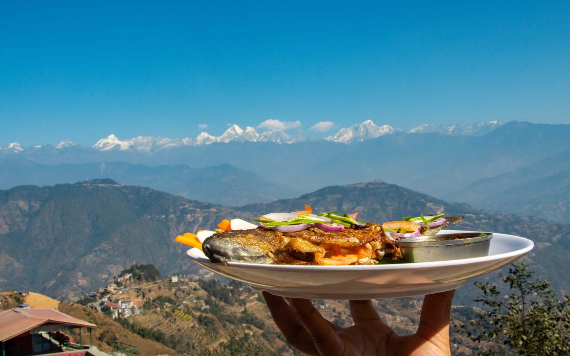 Trout Fish in Bhotechaur